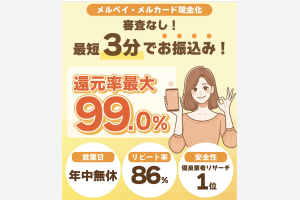 クイックマネープラス
